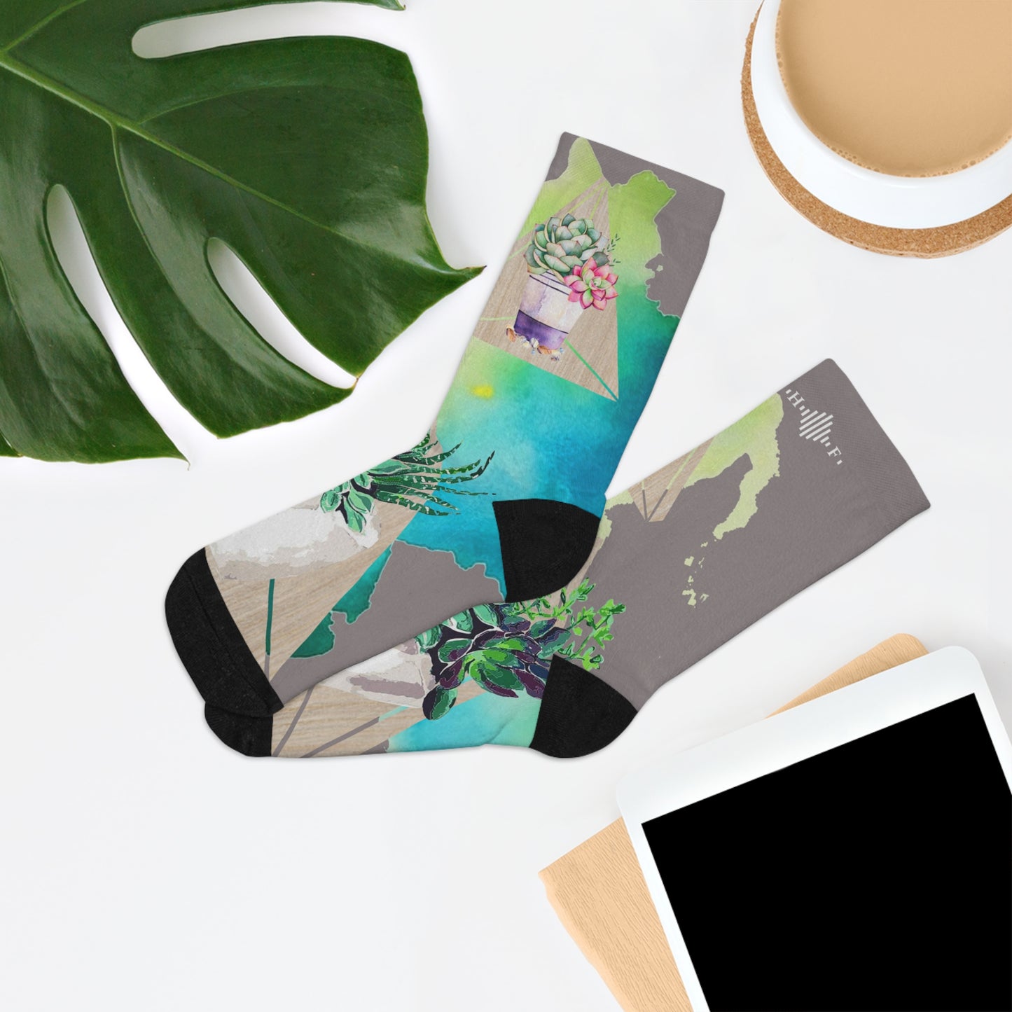 Cool Succulents - Recycled Poly Socks